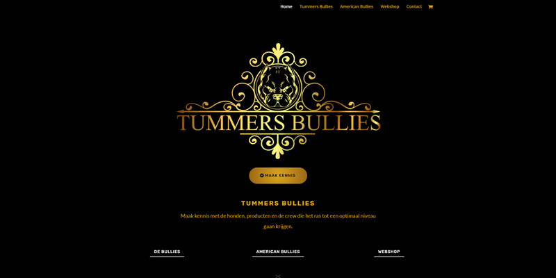 Portfolio_Tummersbullies